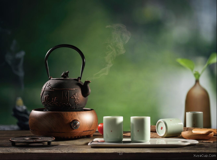 盛世東方鐵離子養(yǎng)生套裝 VT223